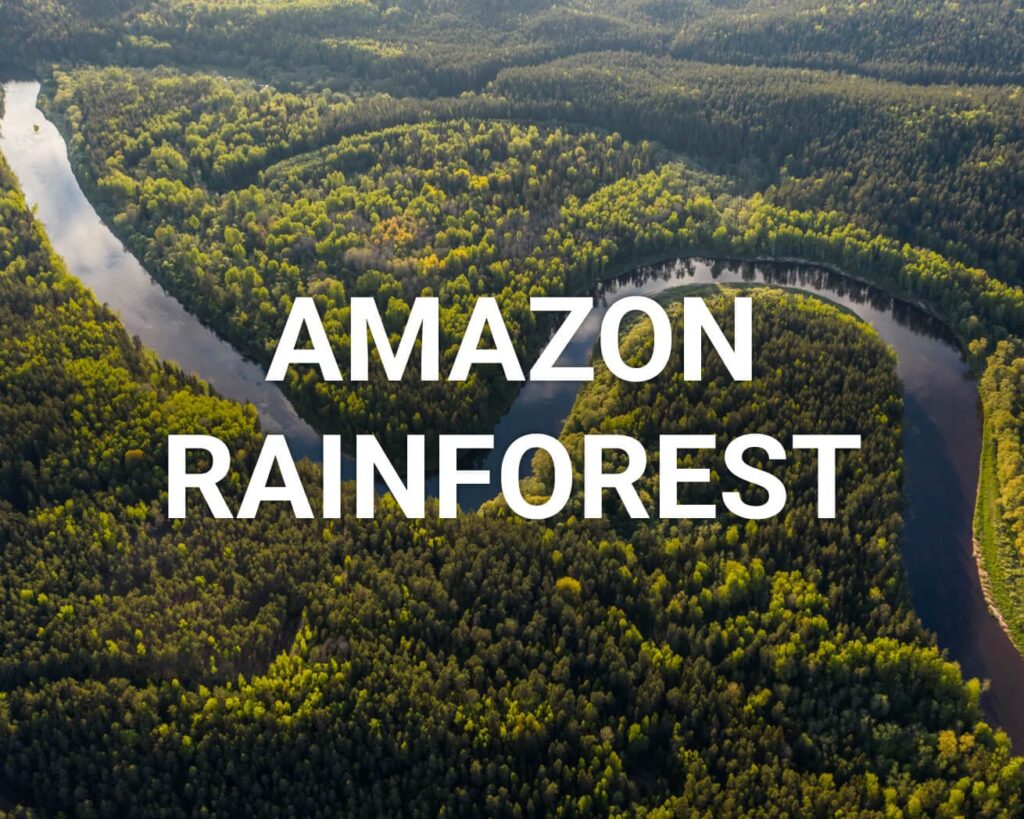 Only Locks Carbon Neutral Amazon Rainforest Plant Trees